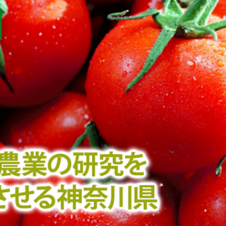 スマート農業の研究を本格化させる神奈川県