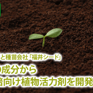 福井県立大学と種苗会社「福井シード」　かに殻の成分から有機栽培向け植物活力剤を開発