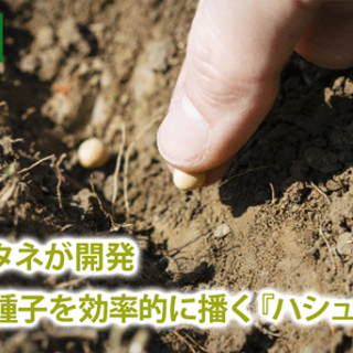 サカタのタネが開発　多品目の種子を効率的に播く『ハシュラクダ』