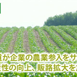北海道が企業の農業参入をサポート　生産性の向上、販路拡大を加速