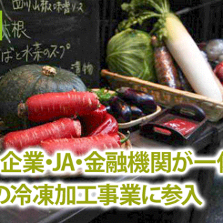 農業生産者・企業・JA・金融機関が一体となり、京野菜の冷凍加工事業に参入