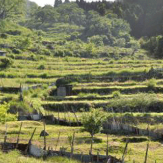 42都道府県で耕作放棄地増税対象なし　農業委員会の勧告進まず