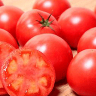 受粉作業を省力化　サカタのタネが冬春向け大玉トマト「ハウスパルト」を６月から発売