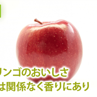 蜜入りリンゴのおいしさ　糖の量は関係なく香りにあり　農研機構