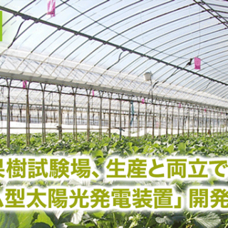 長野県果樹試験場、生産と両立できる「フィルム型太陽光発電装置」開発に着手　