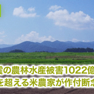 熊本地震の農林水産被害1022億円 300軒を超える米農家が作付断念