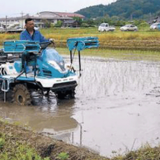 シルバー人材センターが自然栽培米の生産開始　石川県羽咋市で産地化支援へ