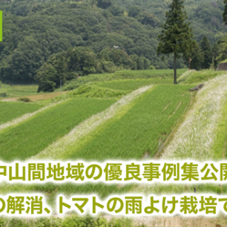 農水省が中山間地域における優良事例集を公開　用水不足の解消、トマトの雨よけ栽培で高収益等