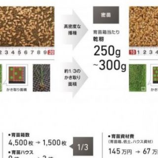 ヤンマーの田植機用オプション4型式を販売　「密苗」で稲作の省力化・低コスト化を実現