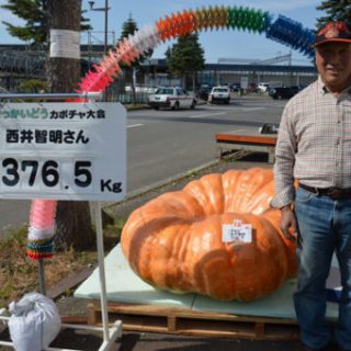 ３７６キロ巨大カボチャ　芦別西井さん５年ぶりＶ　滝川で大会