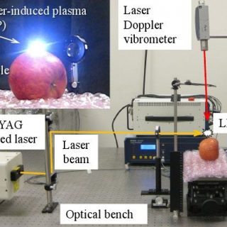 パルスレーザー照射にて青果物の品質を非接触・非破壊で評価するシステムを開発　　　