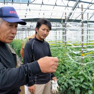 脱サラ農家、九州で増える理由　新規参入最多の県は…