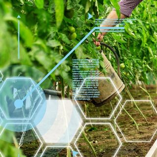 「水やり10年」から「AI農業」へ、農業を主要産業の一つに押し上げたい