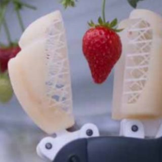 イチゴを傷つけずに自動で収穫できるロボットがベルギーで開発中