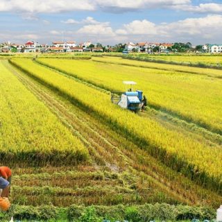 毎日フォーラム・特集：日越農業連携　メード・バイ・ジャパニーズ・イン・ベトナム
