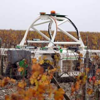 ボルドーの伝統的なぶどう園が農業ロボットを採用