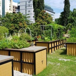 シンガポール、住民参加型のコミュニティー・ガーデンが新たにオープン