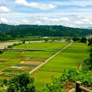 歴史は繰り返す？ “荘園”化する日本の農業