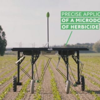 農業ロボットはどう役立つ？現状と課題、最新事例を整理する