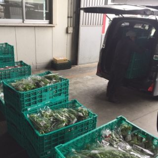 空港で野菜を集めて、全国のスーパーへ！ JALｘ農業総合研究所　空港集荷場開設に伴う業務委託契約締結について