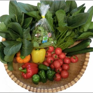 水素水で栽培した国産高機能性野菜「還元野菜」を限定販売！