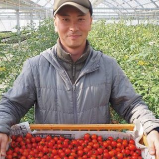 小規模でも儲かる農家への道（3）1haで3500万円の売上を支えるトマトの秘密