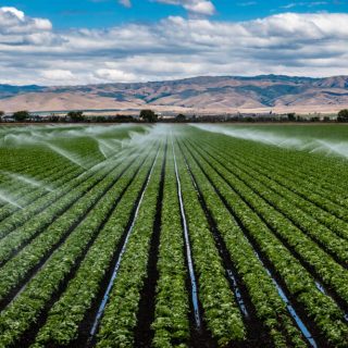 シリコンバレーが本気で考える「農業テクノロジー」の未来