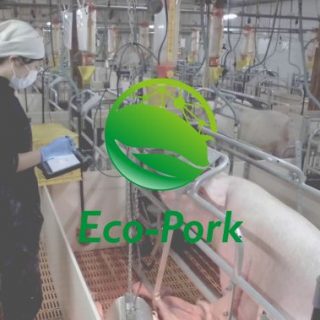 リアルテックファンド、最新技術と環境負荷低減を実現する養豚ベンチャー「Eco-Pork」へ出資