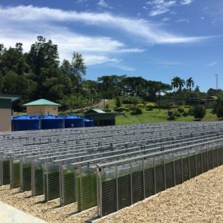 ちとせグループ、マレーシア・熱帯環境下にて世界最大級の藻類培養プラントを開発