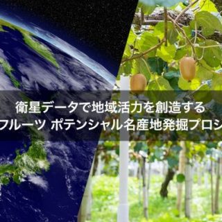 JAXA認定ベンチャーの天地人、ゼスプリと共同にて衛生データを活用したキウイフルーツ栽培の実証へ