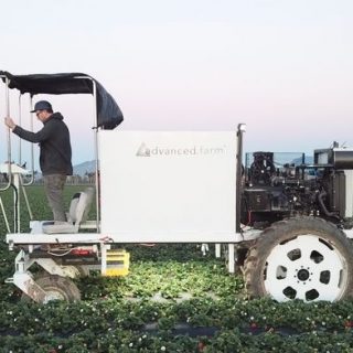 クボタ、大規模イチゴ栽培向け自動収穫ロボット「Advanced Farm」に出資