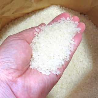 令和元年産の水田における作付状況。主食用米は昨年から0.7万ha減の137.9万ha