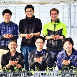 「平均糖度9.46・可販果率95%の高糖度トマト」Happy Qualityと静岡大学の共同研究で生産