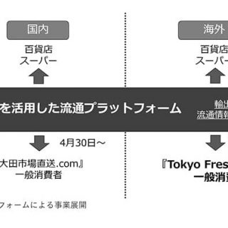 国産生鮮食品の越境ECサイトを新規開設　We Agri