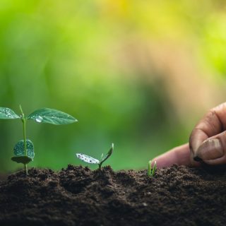 食品や栄養補助食品に使用される植物栄養素の識別技術を開発するBrightseedが約28億円調達