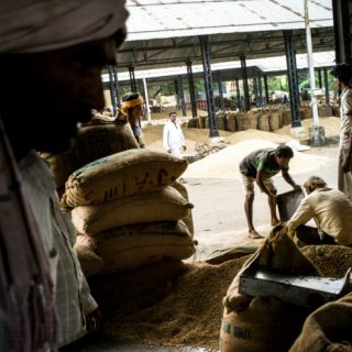 収穫した農産物の保管・販売サービスと資金を農家に提供するインド拠点のAryaが約21.8億円調達