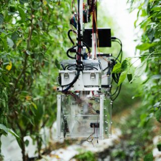人口1万7000人の町からテクノロジーで世界展開を狙う、農業用収穫ロボット開発のAGRISTが資金調達