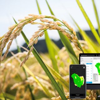 栽培管理支援システム「xarvio FIELD MANAGER」サービス開始　全農×BASF