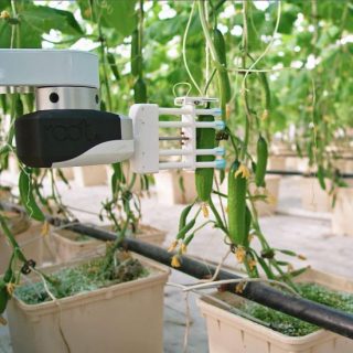 屋内農業のAppHarvestが農業ロボット企業Root AIを買収
