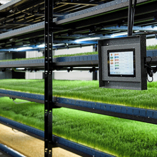 CubicFarm Systemsは、家畜に餌を与えるためのオンサイト屋内農業のセットアップに150万ドルを稼ぎます