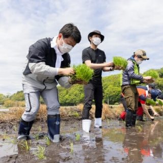 東北農業に貢献へ　福島県浪江町で田植え実施　アイリスオーヤマ