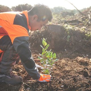 森林再生による地産地消　持続可能エネルギー事業開始　エコグリーンホールディングス