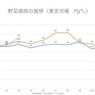 野菜市況低迷続く　出荷谷間で回復も一時的