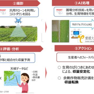 農作物生産コントロールの共同実証実験の開始　NTT西日本×愛媛大学×青空