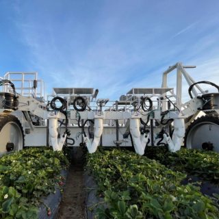 イチゴを傷つけずに収穫するロボットのTrapticが商業展開を開始