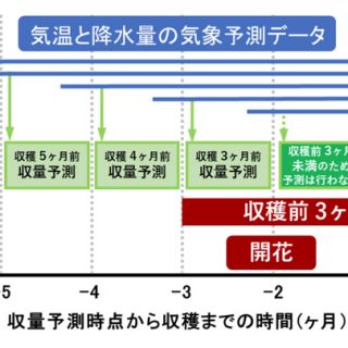 収穫の36か月前に把握　全世界対象の穀物収量予測が本格運用へ前進　農研機構