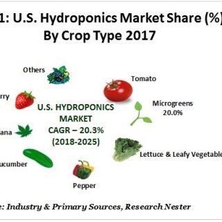 米国の水耕栽培市場-作物別（トマト、マイクログリーン、レタス、葉物野菜、コショウ、キュウリ、マリファナ、イチゴなど）–業界の需要分析と機会評価2017–2025年