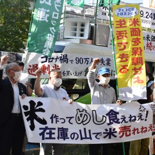 米危機打開　政府、過剰米買い上げを－農民連