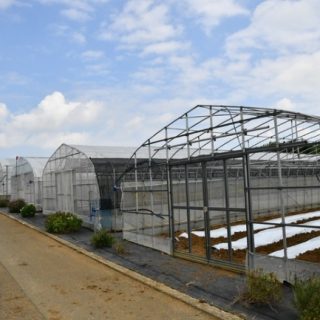 アフリカの農業支援に向けた植物モニタリングの実証実験がスタート