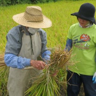 秋田・東成瀬村で異形の農福連携　高齢者施設の挑戦